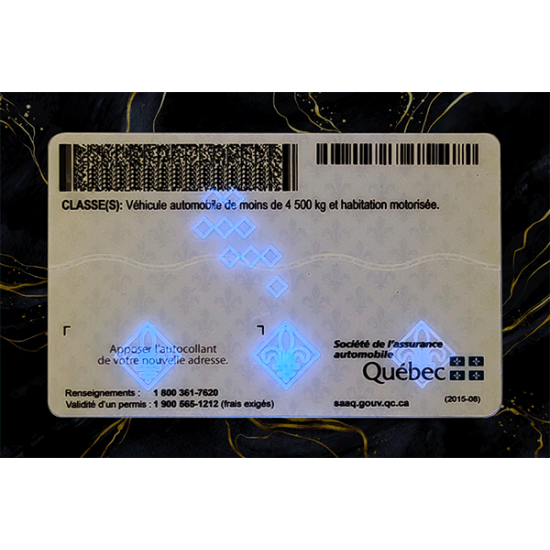 Quebec Fake DL