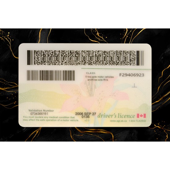 Saskatchewan Fake DL