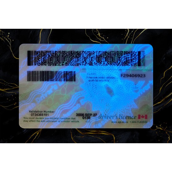 Saskatchewan Fake DL