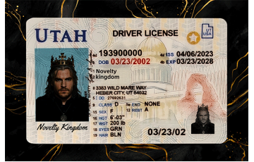 Utah Fake DL