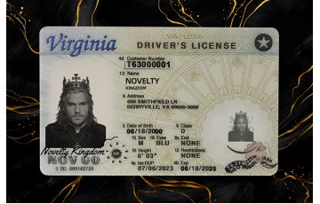 Virginia Fake DL (2025 VERSION)