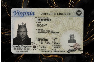 Virginia Fake DL (2025 VERSION)