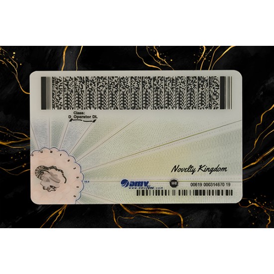 Virginia Fake DL (2025 VERSION)