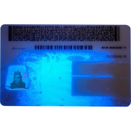 New York CDL