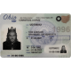 Ohio Fake DL