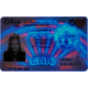 Ohio Fake DL