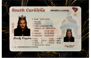 South Carolina Fake DL