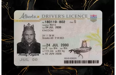 Alberta Fake DL (2026 Version)
