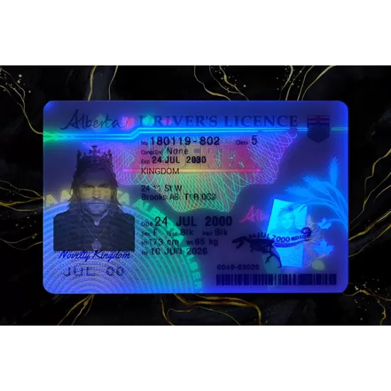 Alberta Fake DL (2026 Version)