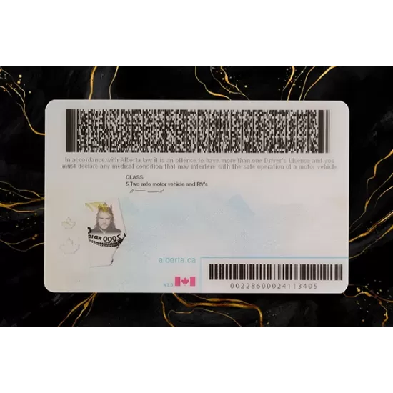 Alberta Fake DL (2026 Version)